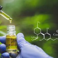 What is CBD?